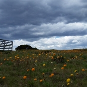 Gallery 003 (2)